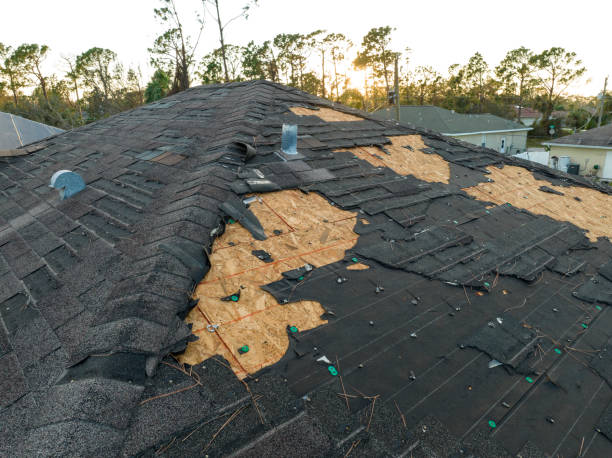 Best Sheet Metal Roofing  in Dublin, VA