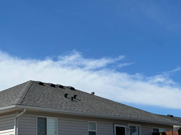 Professional Roofing Service in Dublin, VA